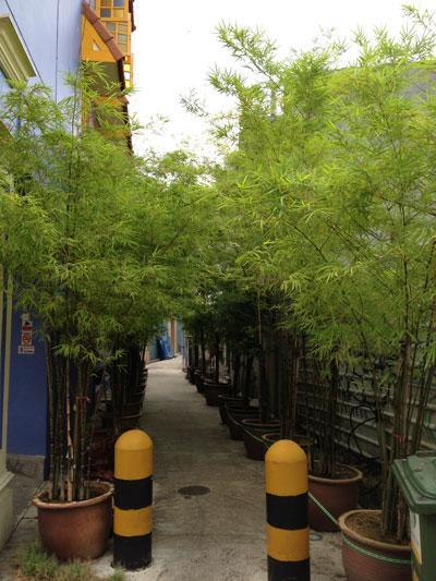 Superb Hostel สิงคโปร์ ภายนอก รูปภาพ